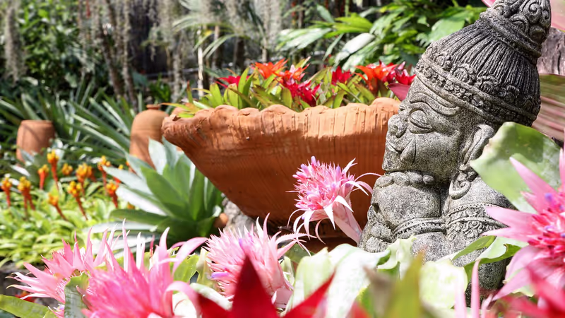Bangkok Private Tour - Nong Nooch Tropical Garden