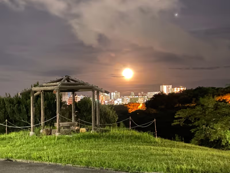 Okinawa Main Island Private Tour - Experience Okinawa beyond the beaches, full moon!