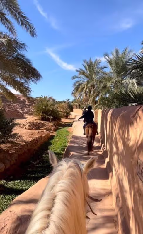 Ghardaia Private Tour - 