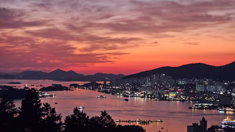 South Jeolla Private Tour - Yeosu Night Sea