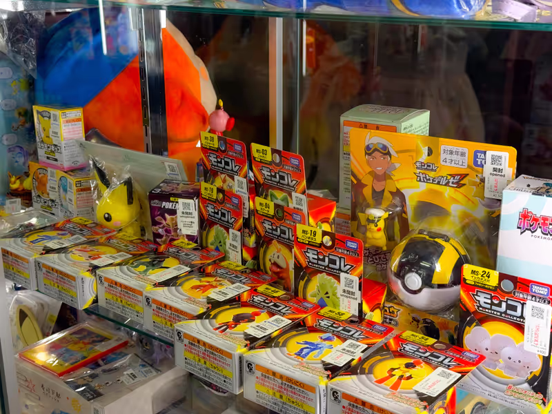 Tokyo Private Tour - An anime fan's dream