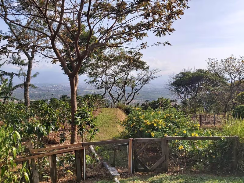 Alajuela Private Tour - Coffee Farm for a relaxing day