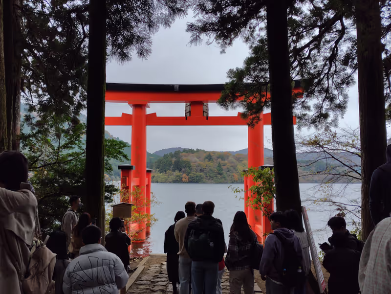 Hakone Private Tour - Peace Torii of Hakone Shrine
