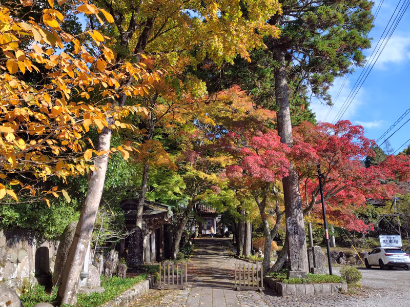 Hakone Private Tour - Choanji Temple