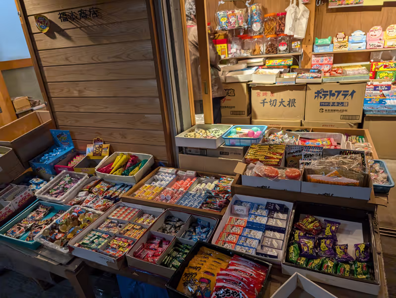 Osaka Private Tour - 