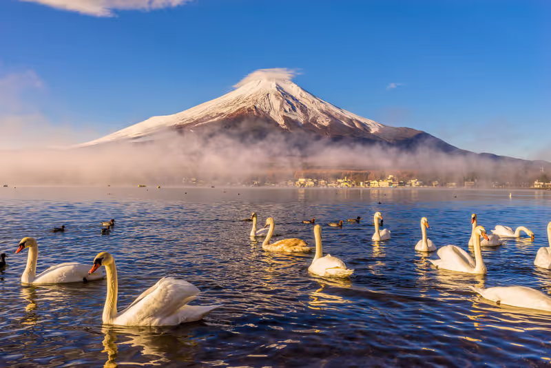 Yokohama Private Tour - 