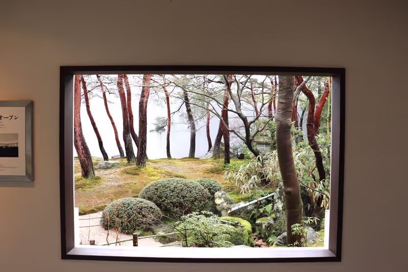 Shimane Private Tour - Scenic View framed like a painting through window