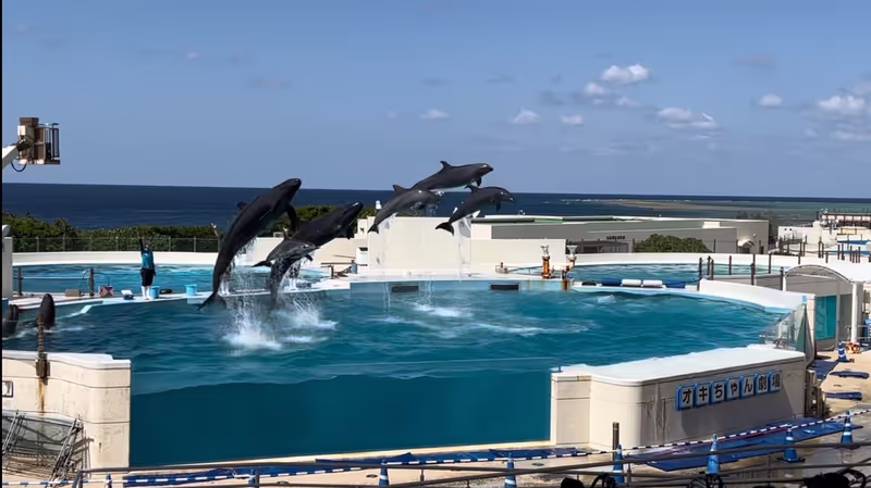 Okinawa Main Island Private Tour - 