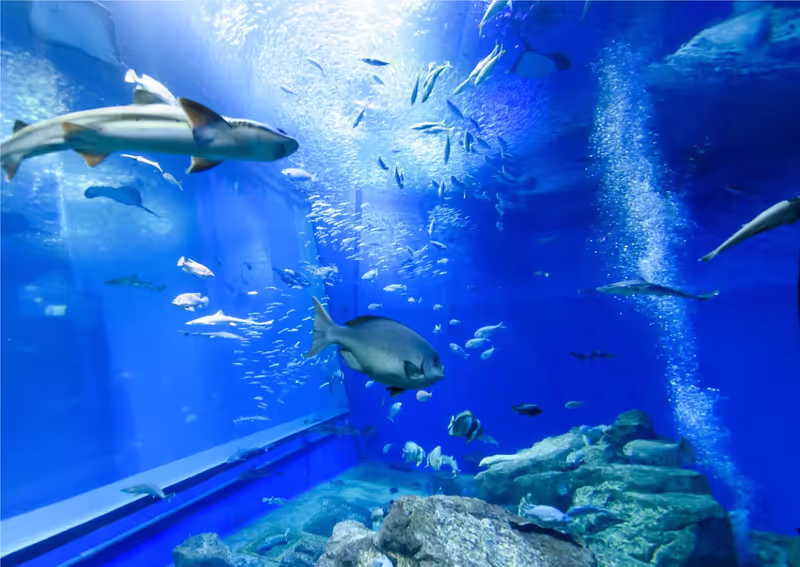 Ibaraki Private Tour - 