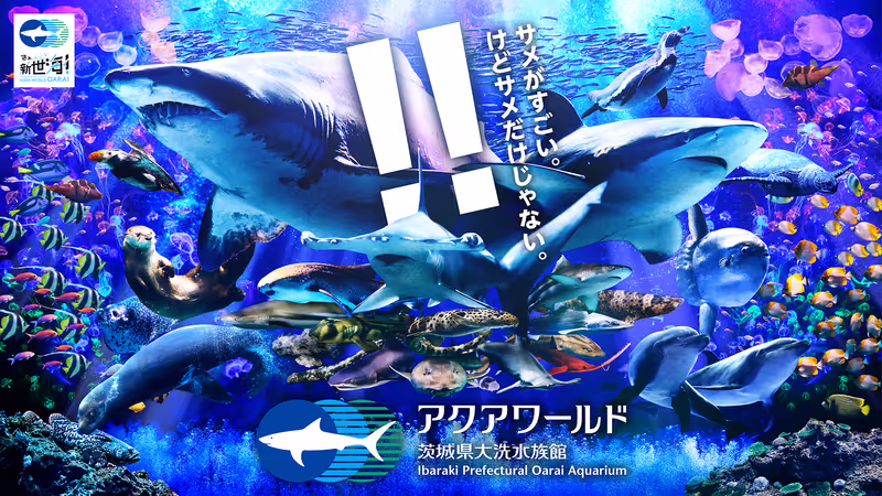 Ibaraki Private Tour - 
