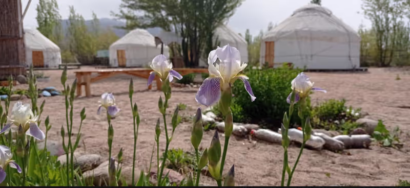 Bishkek Private Tour - Tosor yurt camp