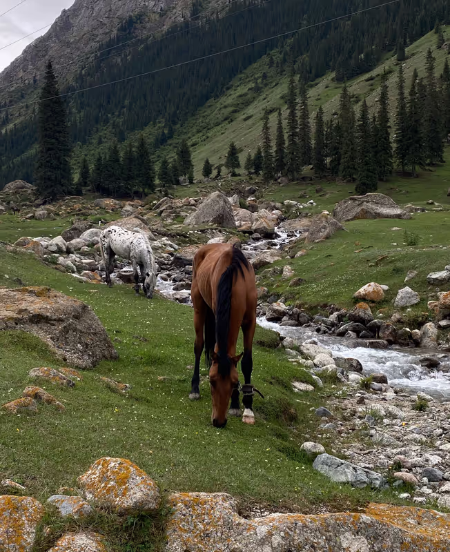 Bishkek Private Tour - Barskon Gorge