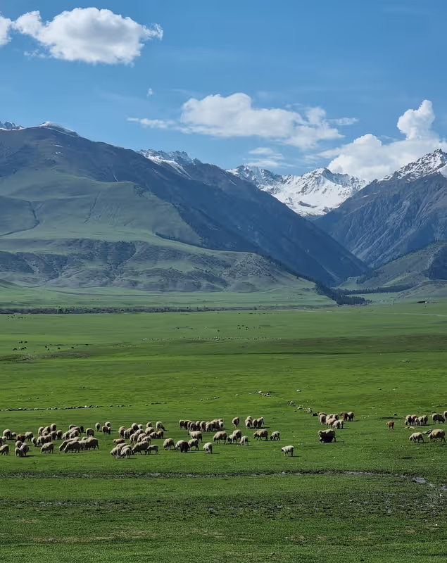 Bishkek Private Tour - Semenovsky Gorge
