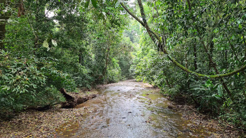 San Jose Private Tour - Beautifull Paths