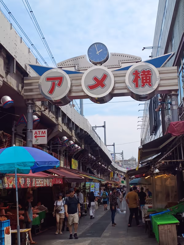 Tokyo Private Tour - Ameyoko street