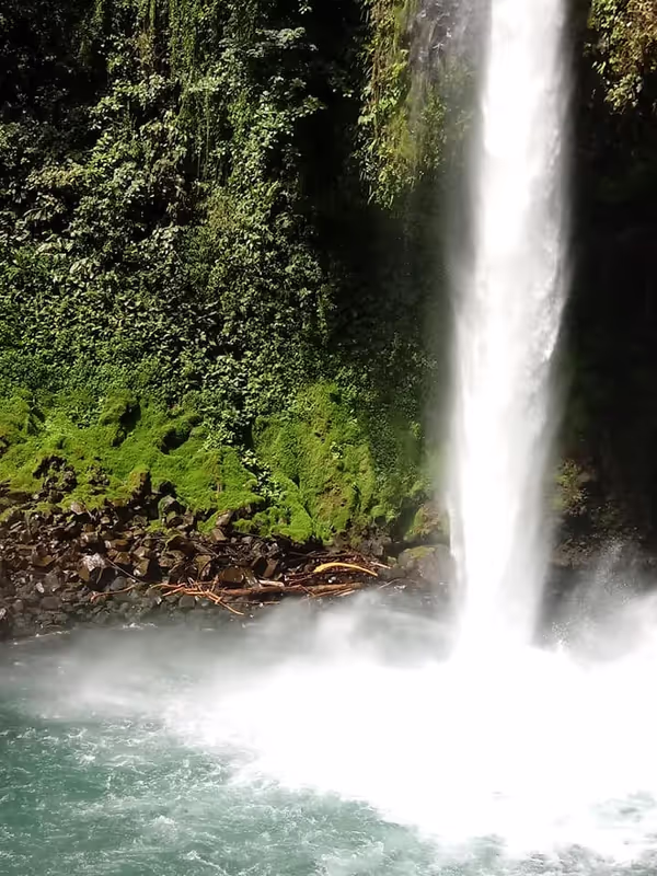 San Jose Private Tour - Ready to Swim?
