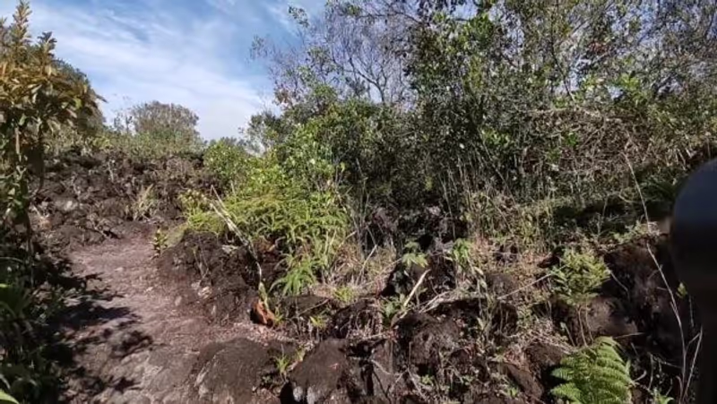 San Jose Private Tour - Volcano Trails