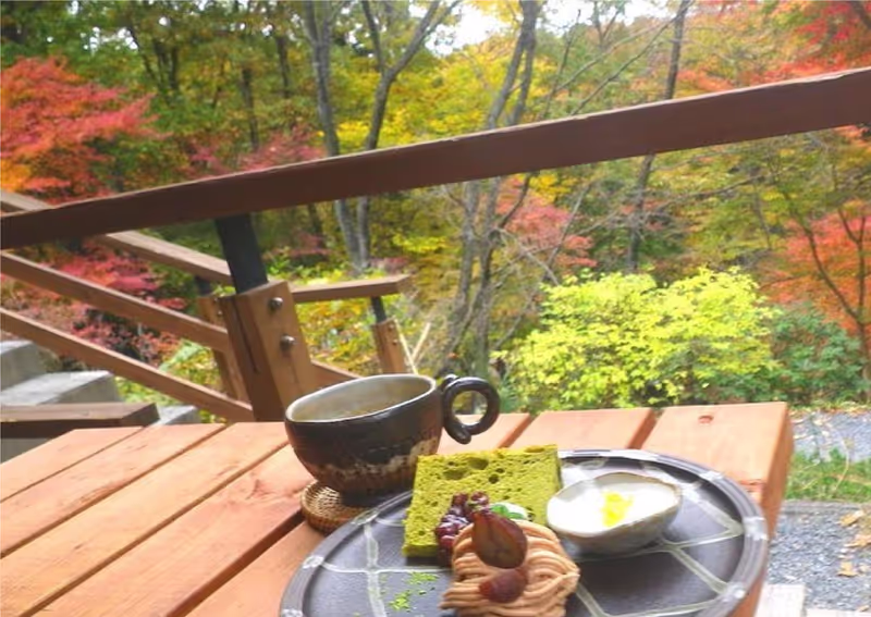 Tochigi Private Tour - 