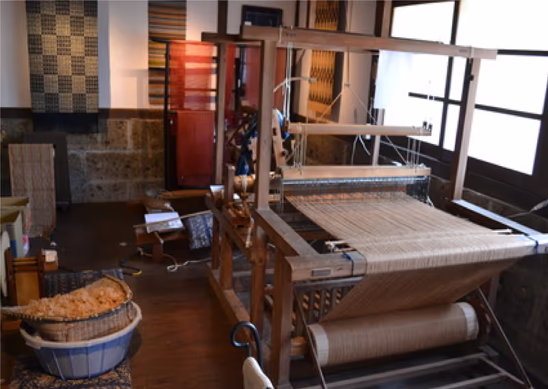 Tochigi Private Tour - 