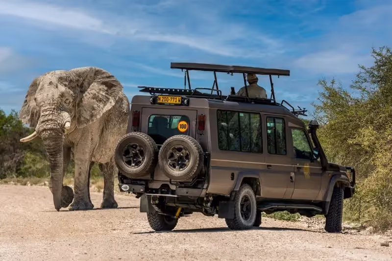 Moshi Private Tour - 