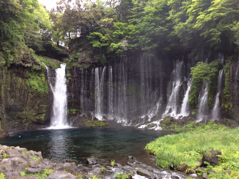 Mount Fuji Private Tour - null