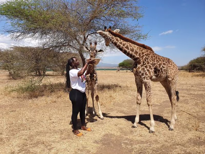 Moshi Private Tour - 
