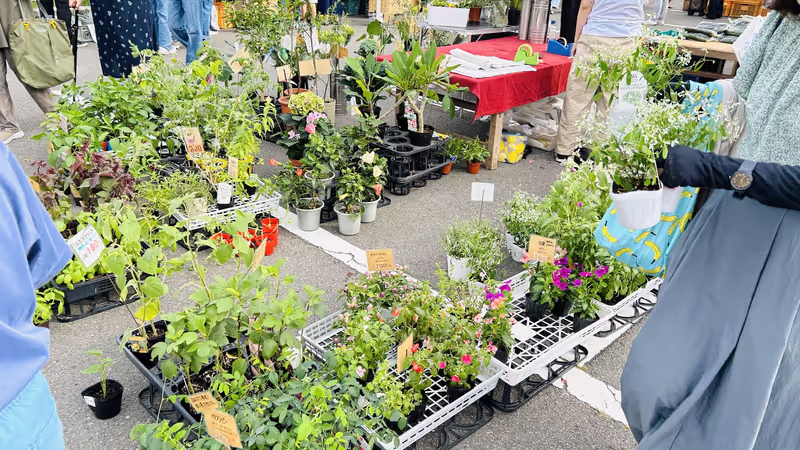 Kyoto Private Tour - at morning market