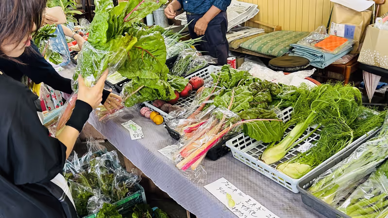 Kyoto Private Tour - at morning market