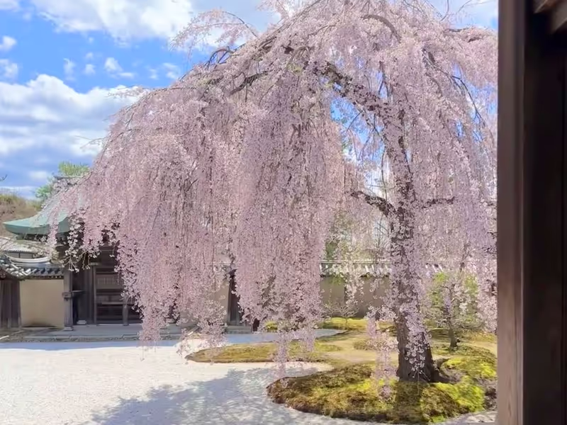 Kyoto Private Tour - Kodaiji Temple