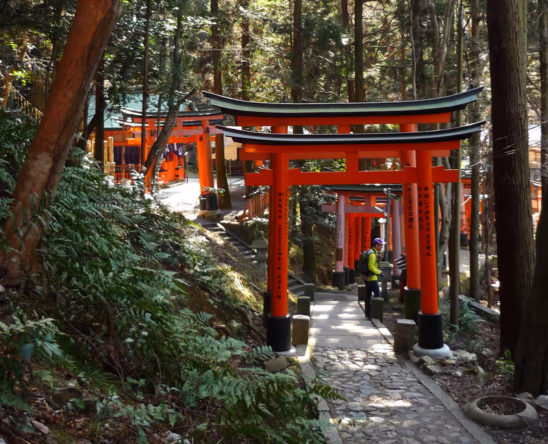 Kyoto Private Tour - Hike route in the Mt. Inari