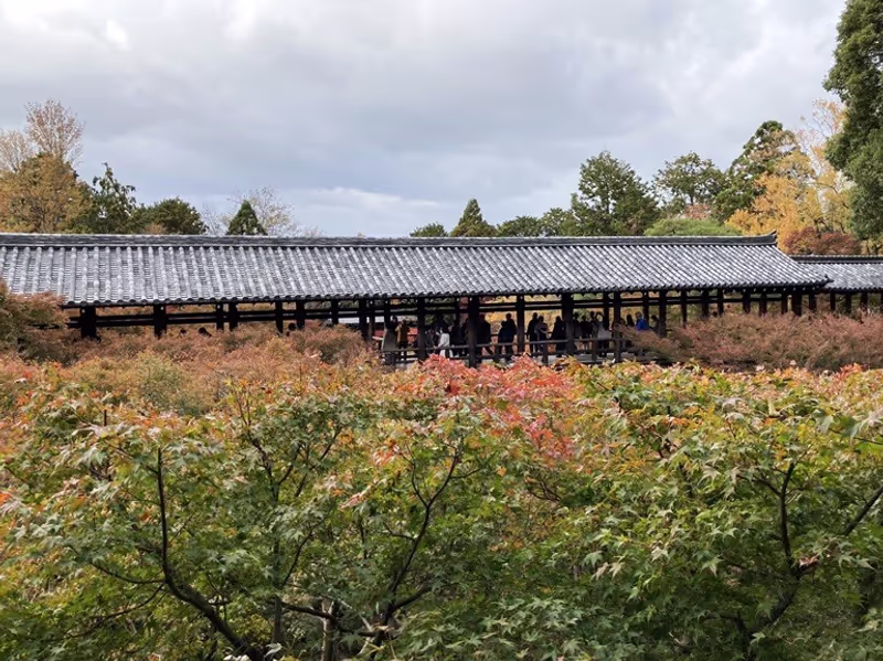 Kyoto Private Tour - Autumn leaves in Tofukuji