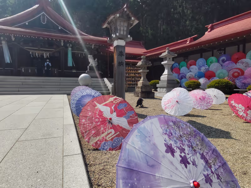 Miyagi Private Tour - 