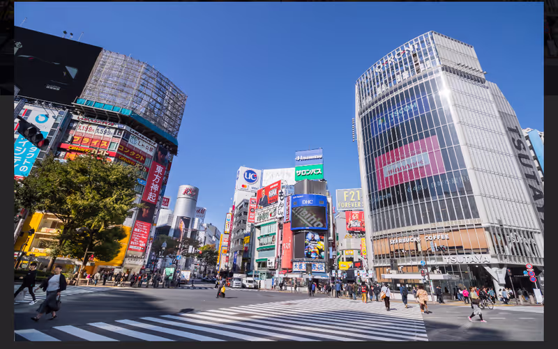 Tokyo Private Tour - 