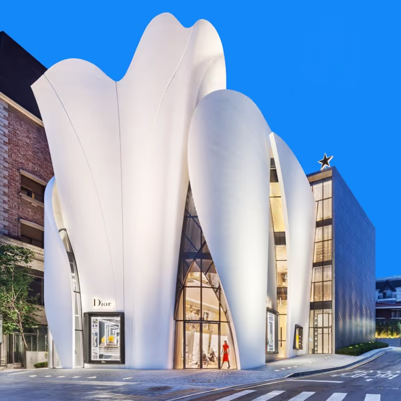 Seoul Private Tour - Rodeo Street