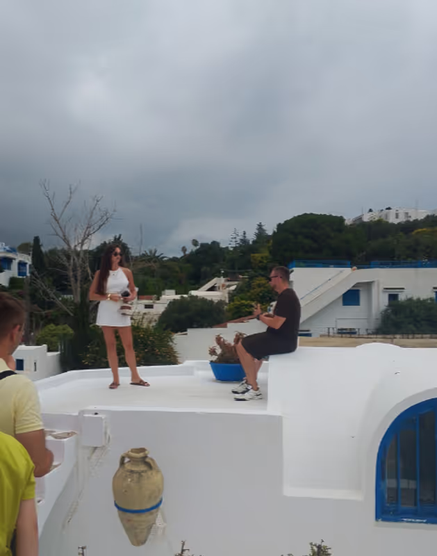 Tunis Private Tour - View of the blue and white village
