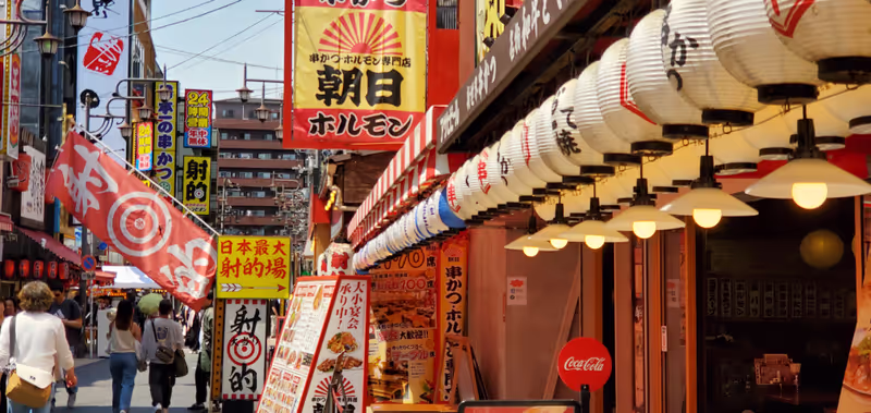 Osaka Private Tour - 