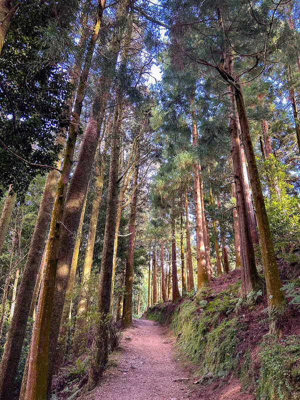 Azores Private Tour - 