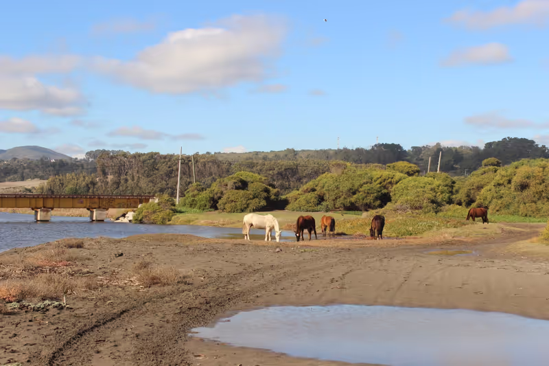 Vina del Mar Private Tour - 