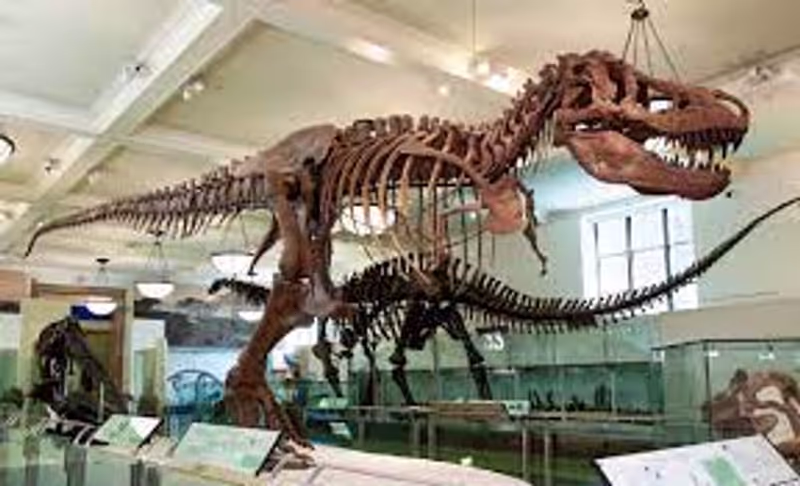New York Private Tour - 