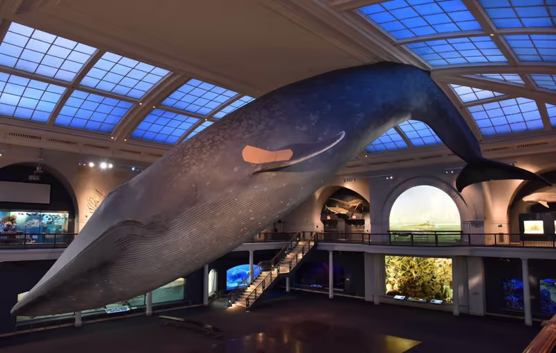 New York Private Tour - 