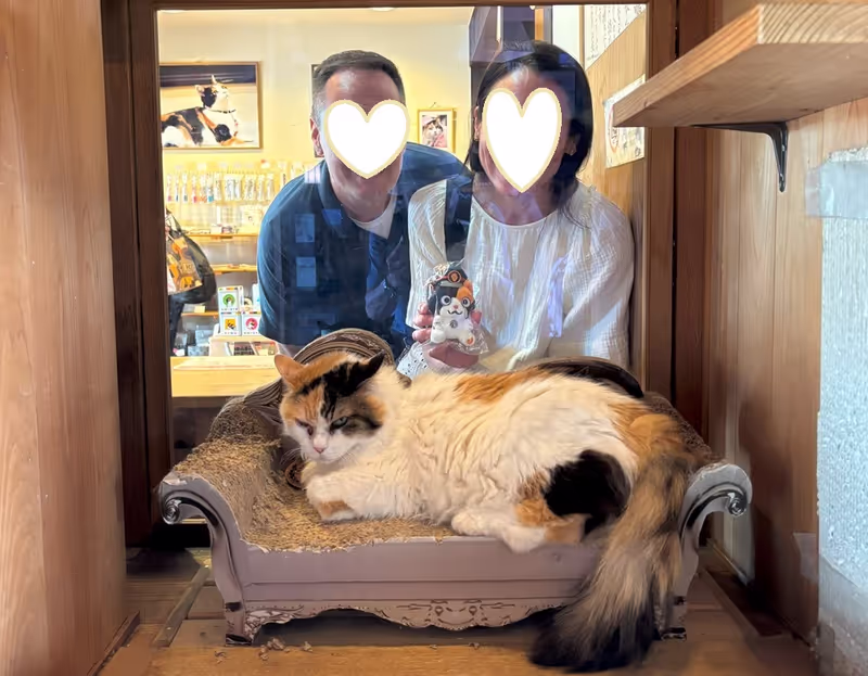 Wakayama Private Tour - The Stationmaster Nitama Cat