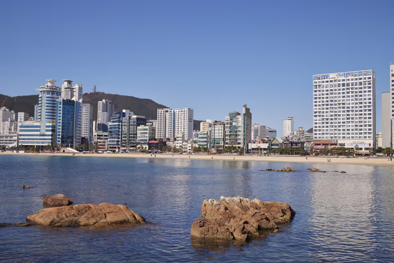 Busan Private Tour - 