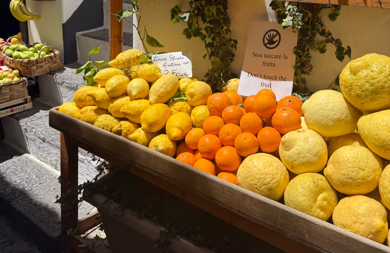 Naples Private Tour - “Limone Sfusato” typical lemons from Amalfi