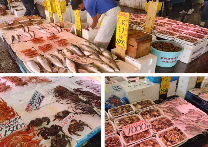 Ibaraki Private Tour - 