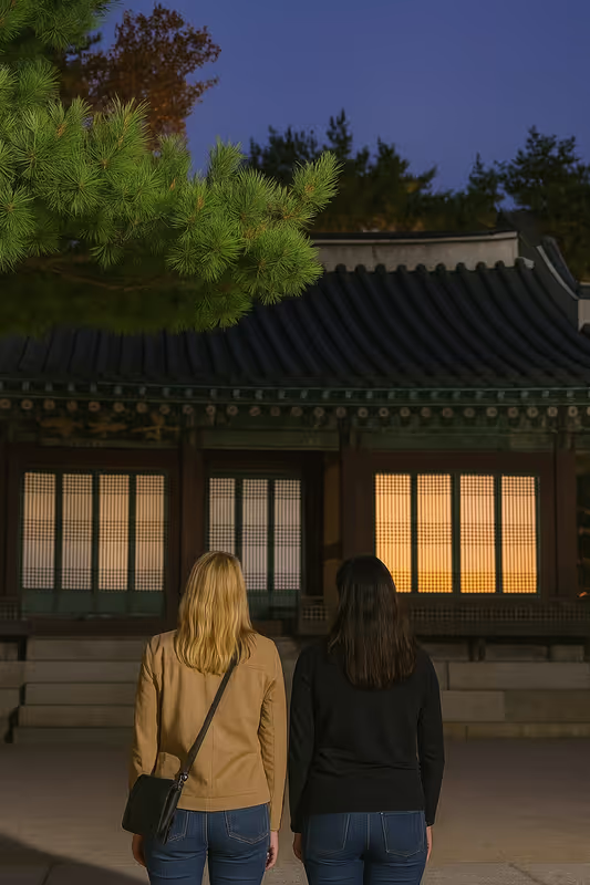 Seoul Private Tour - Night view of Palace