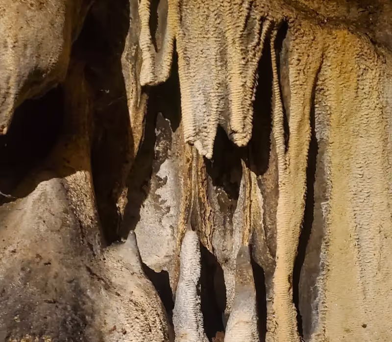 Tanga Private Tour - 