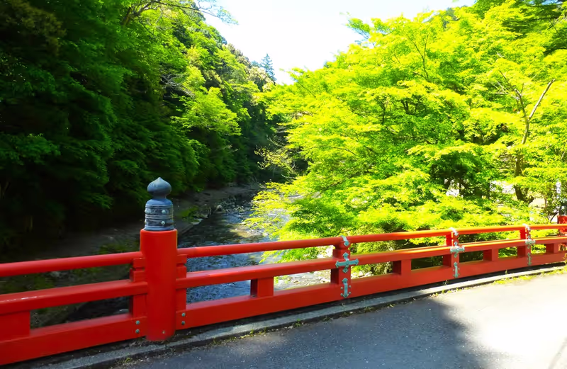 Kyoto Private Tour - Kiyotakigawa River