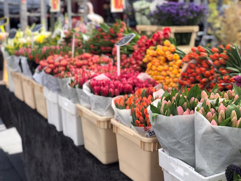 Amsterdam Private Tour - Tulips at a local market