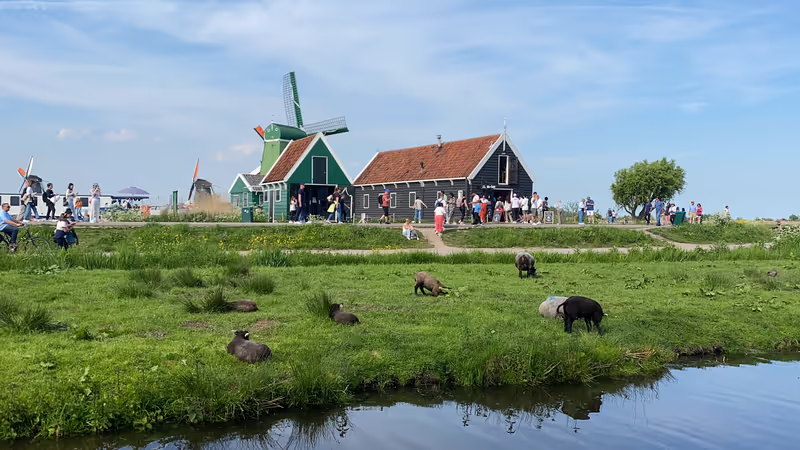 Amsterdam Private Tour - Picturesque view on Zaanse Schans