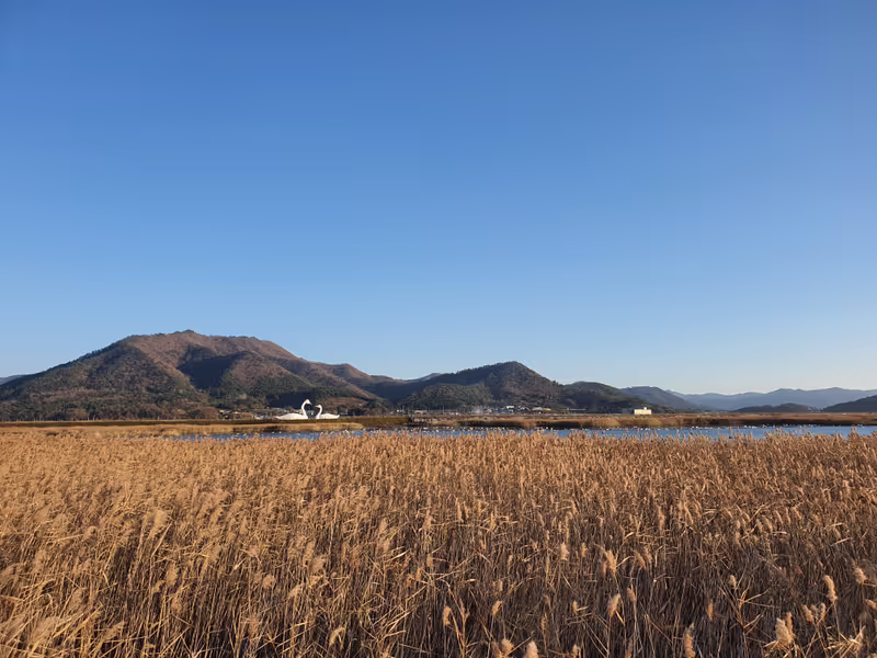 South Jeolla Private Tour - Suncheon Bay
